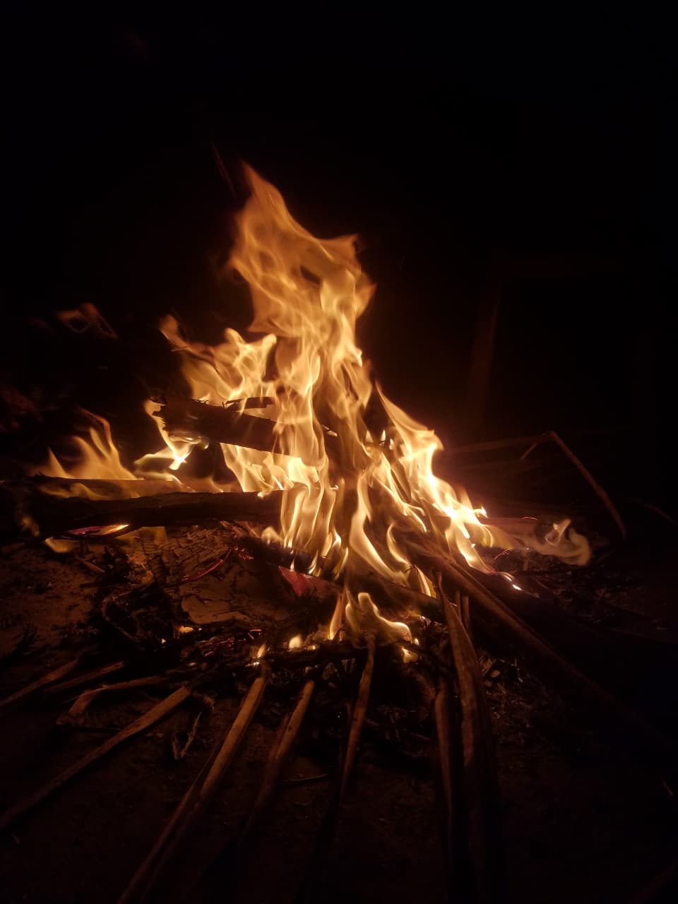 Campfire